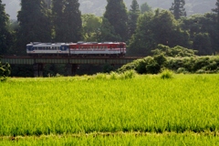 鮮やかグリーンにキハ40！