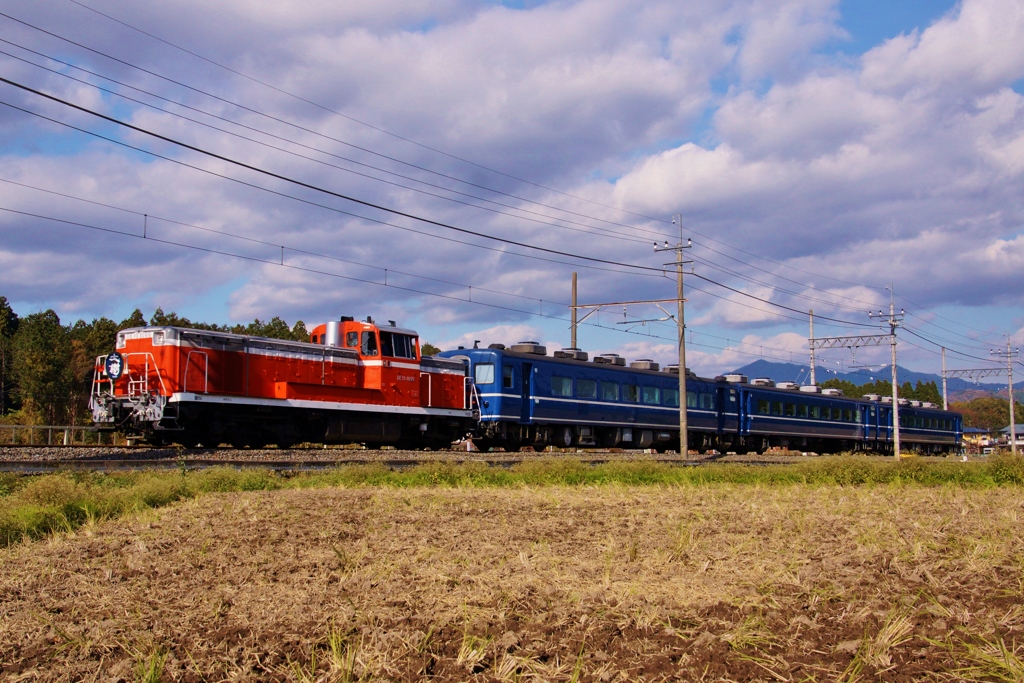 さまに見えるDＬ「大樹」
