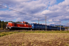 さまに見えるDＬ「大樹」