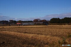 広々平原「益子」！