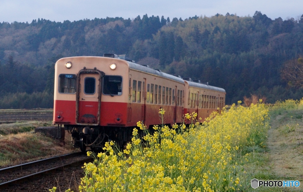 小湊鉄道の夜明け！③（完）