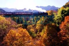 秩父路の紅葉