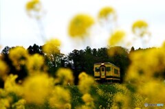 いすみ鉄道の早期復旧を願う①～⑦の⑥