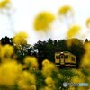 いすみ鉄道の早期復旧を願う①～⑦の⑥