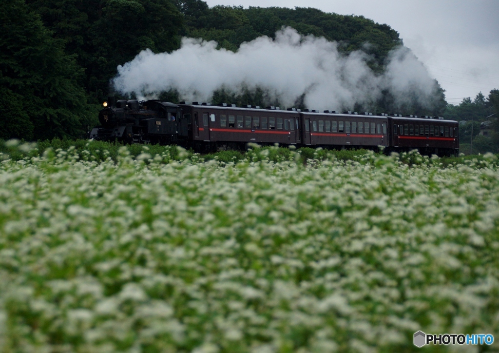 SL「もおか」八木岡！