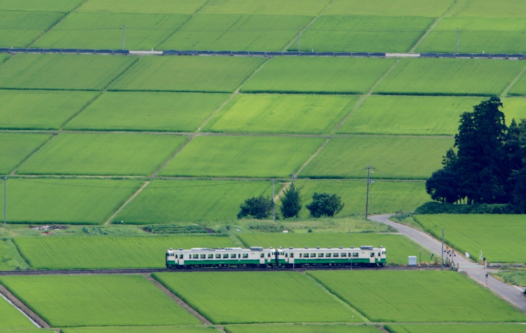 蓋沼森林公園俯瞰