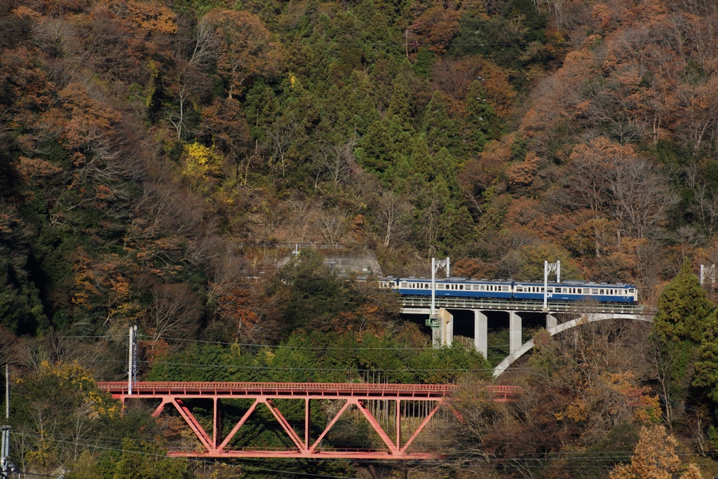 山スカ紅葉の中を①
