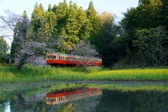 小湊鉄道飯給の水鏡！