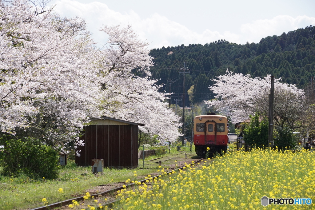 小湊鉄道　高滝駅！