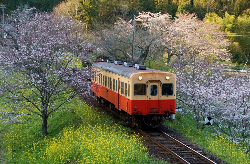 小湊鉄道飯給駅プチ俯瞰！