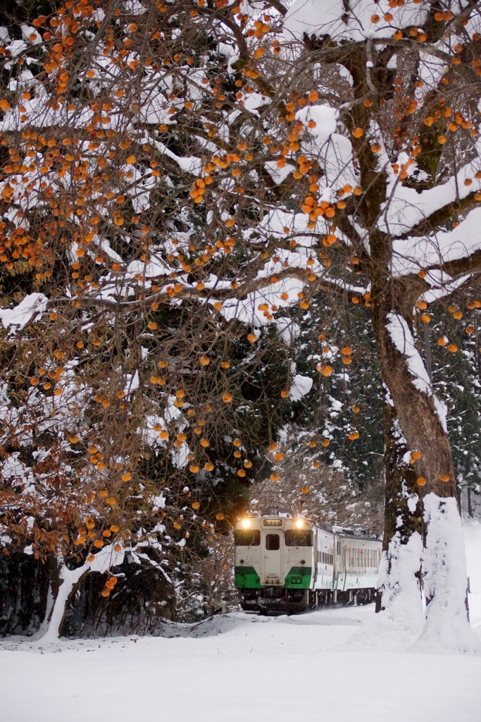 雪景色の中の柿の実とキハ40！