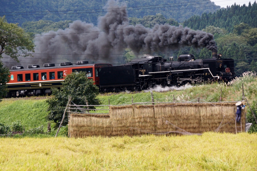 汽車と「ハサガケ」の風景