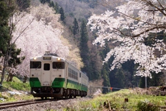 只見線　春の思いで！①