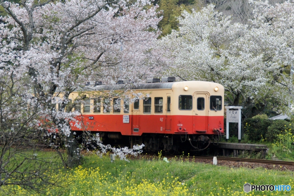 小湊鉄道　飯給駅！②（完）