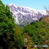 只見線　田子倉！