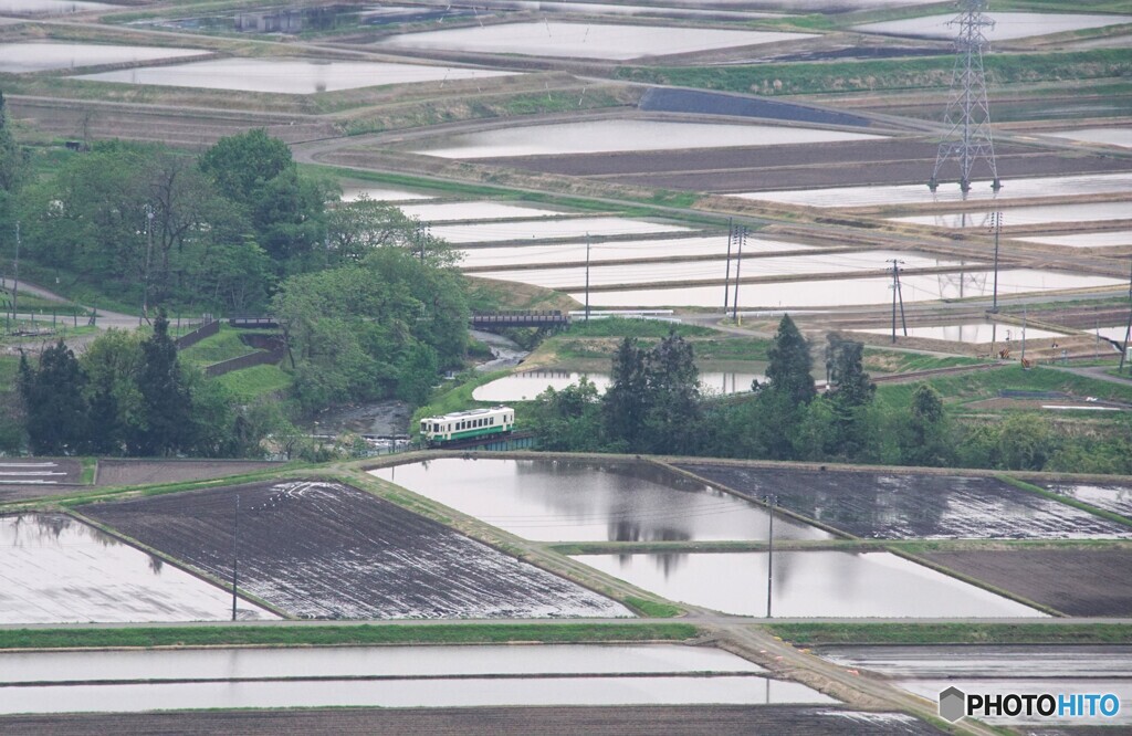田んぼの田園風景を走るキハ！