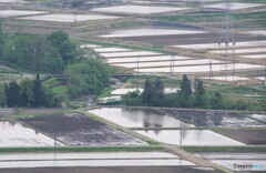 田んぼの田園風景を走るキハ！