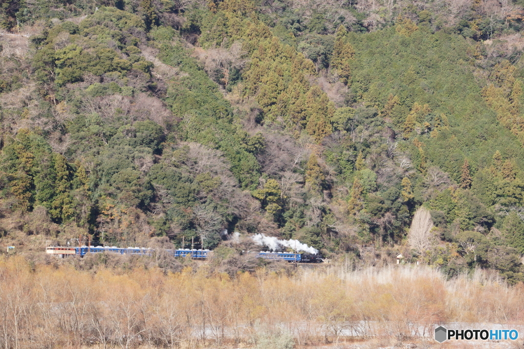 大井川鉄道　始めて見る12系客車　partⅢ