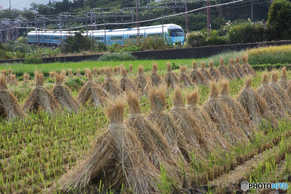 小田急沿線田園風景！
