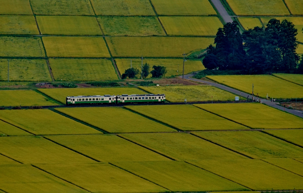 黄金色のパッチワーク