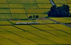 黄金色のパッチワーク