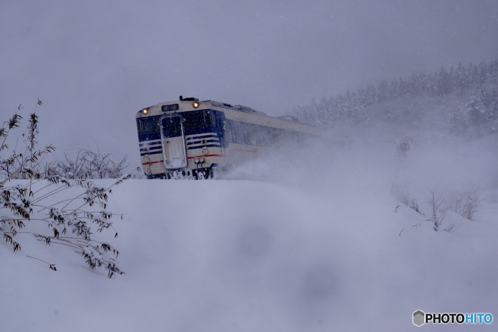 雪の中を突進！