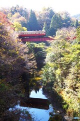 房総奥秘境地！