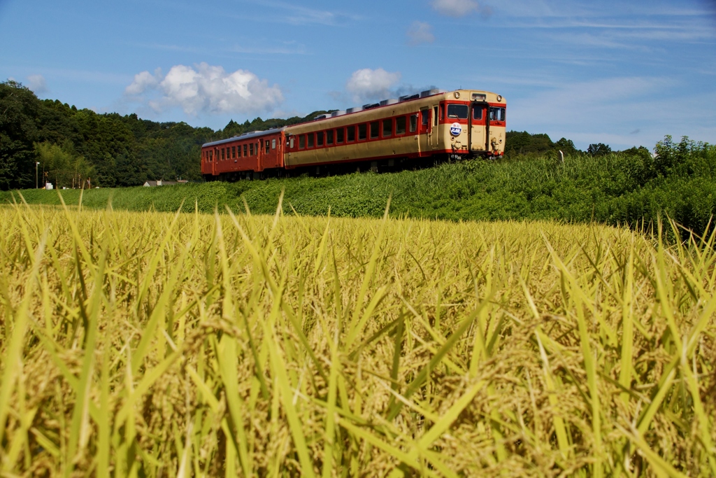 夏も終わり‼