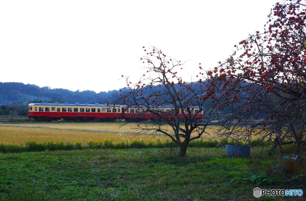 小湊鉄道の田園風景！