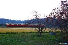 小湊鉄道の田園風景！
