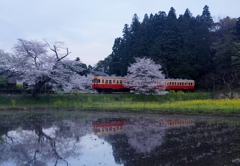 小湊鉄道の春（飯給）！⑥