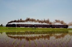 これから登るぞー！