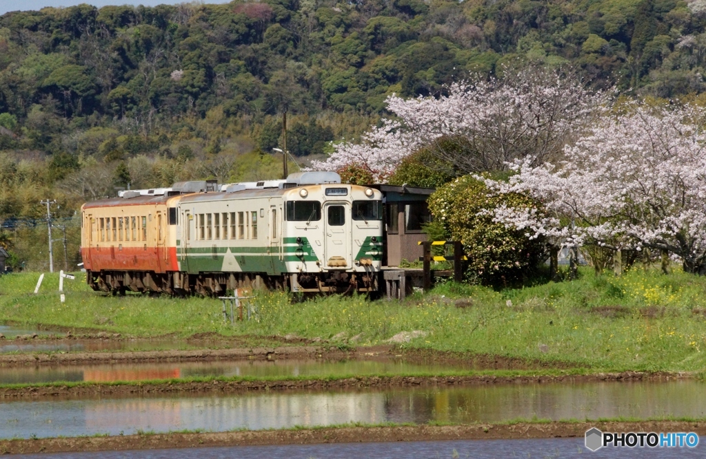 小湊鉄道　上総川間キハ40