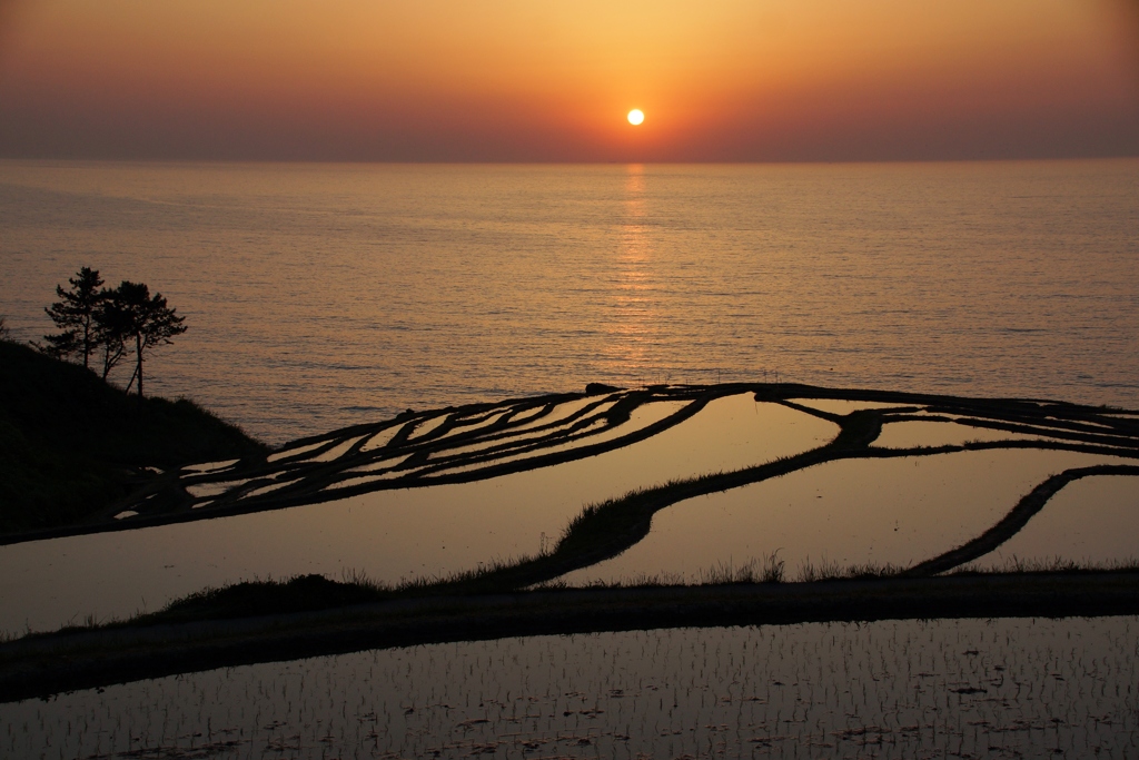 能登半島「千枚田」夕陽ホワイトバランス、ノーマルモード
