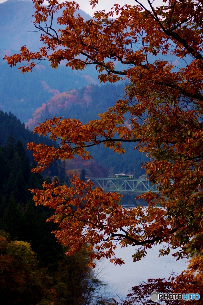 紅葉のフレーム！第２橋梁