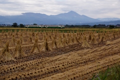 只見線の秋景③