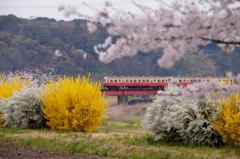 小湊鉄道の春！⑥