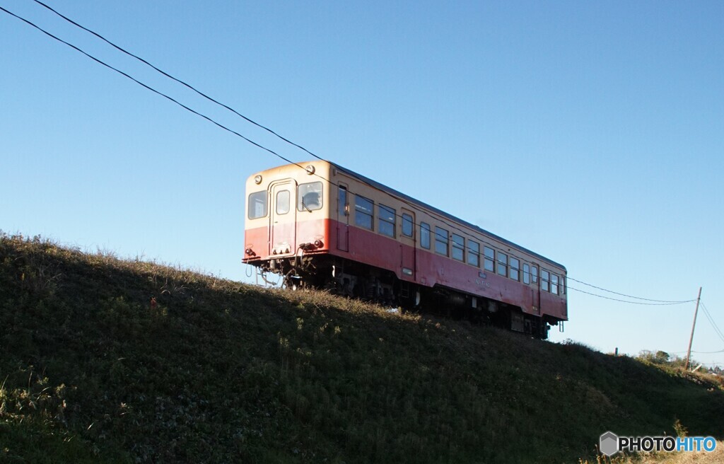 西陽を浴びて築堤を走るキハ200！