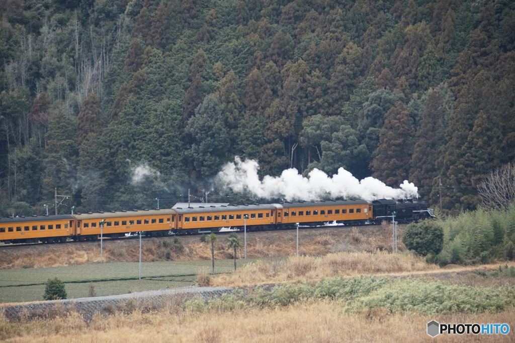 大井川鉄道　SL急行「かわね路」号！