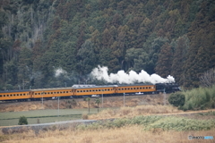 大井川鉄道　SL急行「かわね路」号！