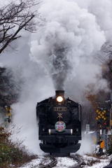クリトレ咲花駅発車③！