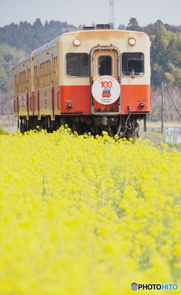 小湊鉄道開通100周年祝賀列車！