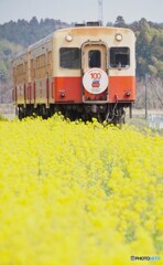 小湊鉄道開通100周年祝賀列車！