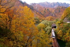 秋の六十里越！②