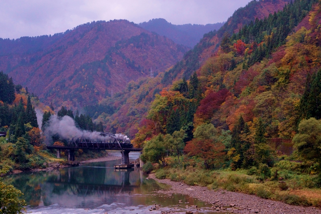 第４橋梁紅葉＆ＳＬ