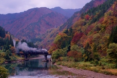 第４橋梁紅葉＆ＳＬ