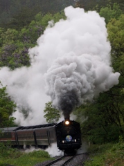 「ばんもの」川吉GO！