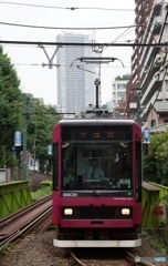 東京さくらトマム都電荒川線②学習院下！