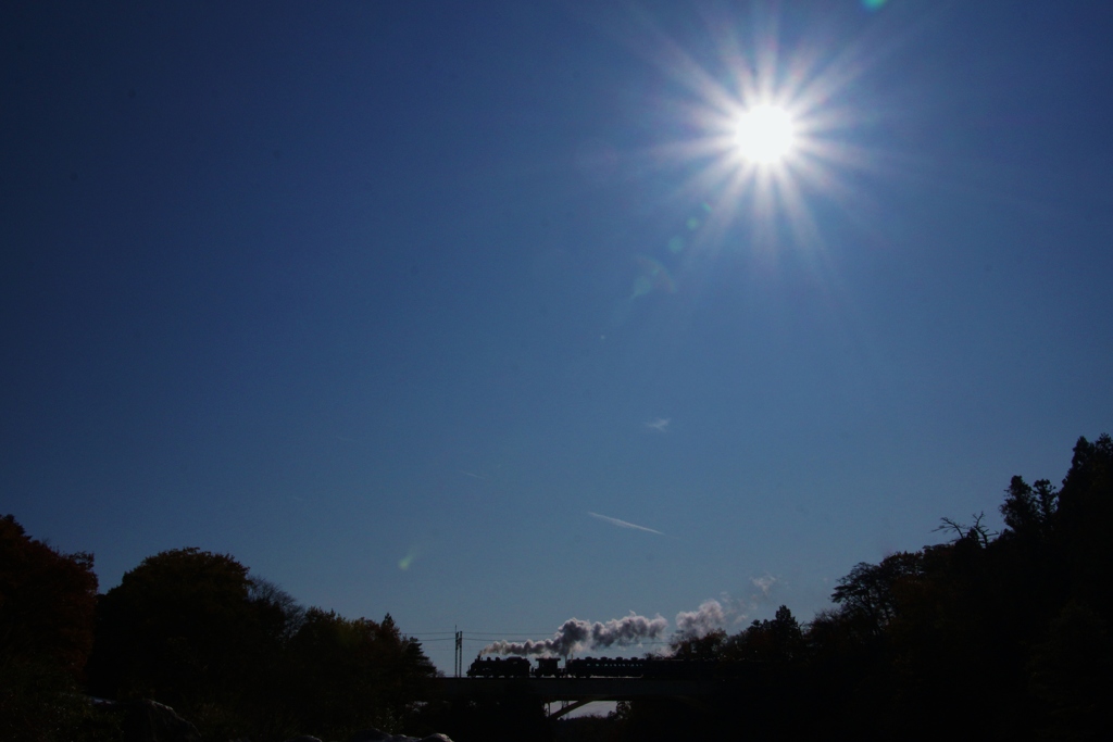 可愛いＳＬ「大樹」②