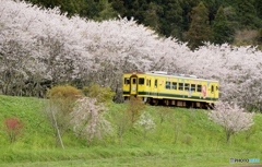 いすみ鉄道　新田野！①